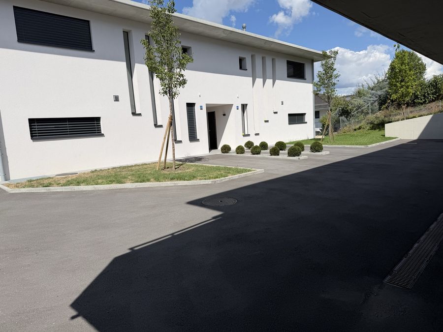 Cour goudronnée terminée à Ecublens, bordures béton, massifs de buis taillés et arbres plantés devant la villa